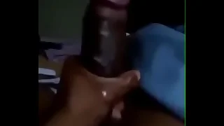 2611 cock porn videos